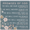 Small Square Decor - Promises Of God